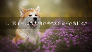 猴子可以当宠物养吗?这合法吗?为什么?