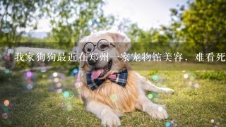 我家狗狗最近在郑州一家宠物馆美容，难看死了，请问大家知道哪家美容店或者宠物医院美容师剪毛好吗？急~？