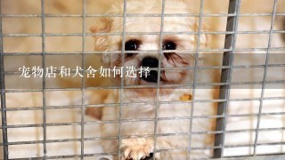 宠物店和犬舍如何选择