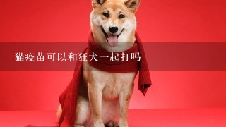 猫疫苗可以和狂犬一起打吗