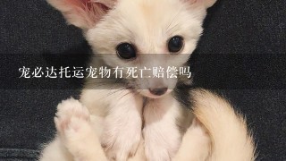 宠必达托运宠物有死亡赔偿吗