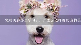 宠物美容那里学习？广州怎么选择好的宠物美容学校？