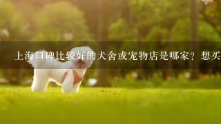 上海口碑比较好的犬舍或宠物店是哪家？想买只血统纯正的健康幼犬，推荐一下