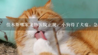 佳木斯哪家宠物医院正规，小狗得了犬瘟，急急急