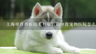 上海申普兽医技术有限公司申普宠物医院怎么样？