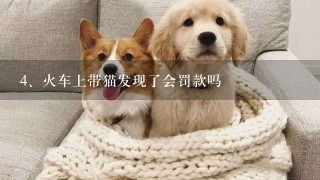 火车上带猫发现了会罚款吗