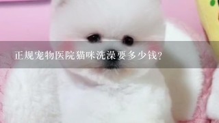 正规宠物医院猫咪洗澡要多少钱?