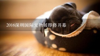2016深圳国际宠物展即将开幕