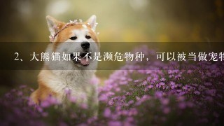 大熊猫如果不是濒危物种，可以被当做宠物养吗?