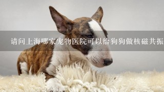 请问上海哪家宠物医院可以给狗狗做核磁共振，大概多少钱？