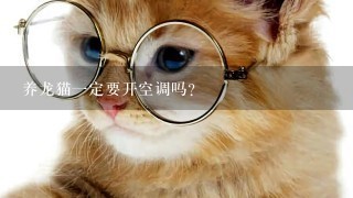 养龙猫一定要开空调吗?