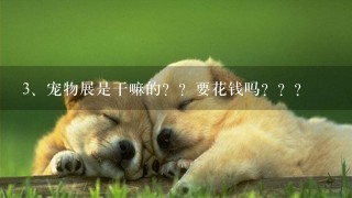 宠物展是干嘛的？？要花钱吗？？？