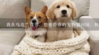 我在乌克兰读书，想要带养的宠物猫回国，但不想在上海隔离，谁能帮忙办理出关免隔离免检疫。重谢