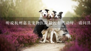 听说杭州嘉美宠物医院最近有活动呀，请问具体什么时间呢？