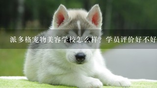 派多格宠物美容学校怎么样？学员评价好不好？