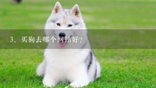 买狗去哪个网站好？