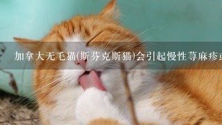 加拿大无毛猫(斯芬克斯猫)会引起慢性荨麻疹或人工荨麻疹吗 希望皮肤科专家和宠物医生帮忙解答下