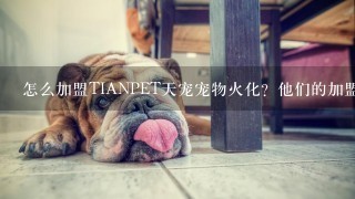 怎么加盟TIANPET天宠宠物火化？他们的加盟流程有什