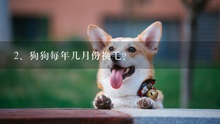 狗狗每年几月份换毛？