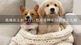 我现在上初二以后想开宠物乐园我该怎么做