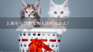 上海有可以带宠物入住的民宿么？