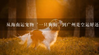 从海南运宠物‘一只狗狗’到广州是空运好还是汽运好。要多久到啊，