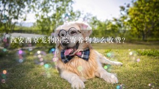 西安西京宠物医院寄养狗怎么收费？