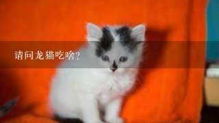 请问龙猫吃啥？