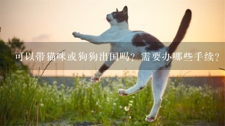 可以带猫咪或狗狗出国吗？需要办哪些手续？