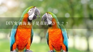 DIY宠物海龙子是真的吗》？？？