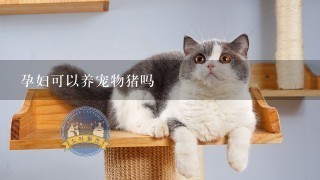 孕妇可以养宠物猪吗