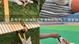 苏州平江新城附近有宠物医院吗 ? 我家狗狗病了