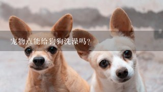 宠物点能给狗狗洗澡吗？