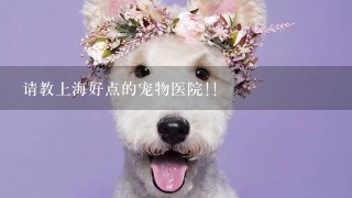 请教上海好点的宠物医院!!