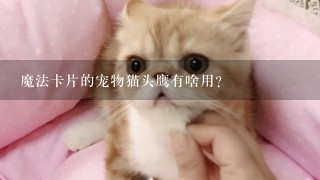 魔法卡片的宠物猫头鹰有啥用？