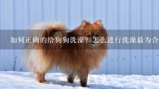 如何正确的给狗狗洗澡？怎么进行洗澡最为合适？