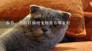 春节，节假日福州宠物寄养哪家好