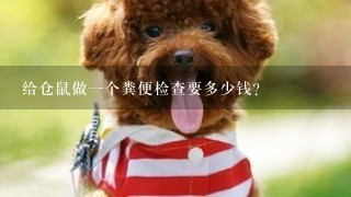 给仓鼠做一个粪便检查要多少钱？