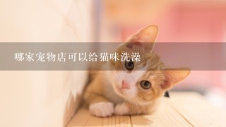 哪家宠物店可以给猫咪洗澡