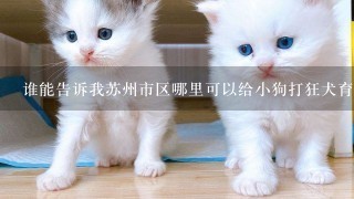 谁能告诉我苏州市区哪里可以给小狗打狂犬育苗啊？