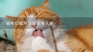 猫咪后腿外伤缝针多久拆