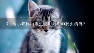 给小猫体内除虫能用人用的肠虫清吗?