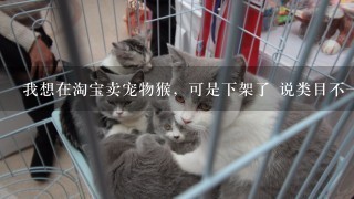 我想在淘宝卖宠物猴，可是下架了 说类目不一致，请问要选什么类目才对呢，