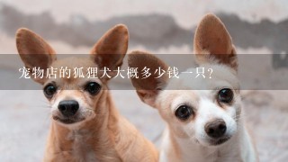 宠物店的狐狸犬大概多少钱一只?