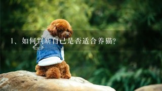 如何判断自己是否适合养猫？