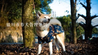 银川市养犬管理条例