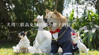 犬用三联高免血清哪个牌子的好？