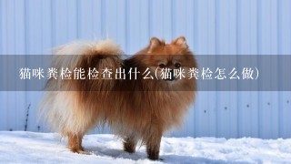 猫咪粪检能检查出什么(猫咪粪检怎么做)