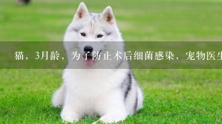 猫，3月龄，为了防止术后细菌感染，宠物医生在猫粮中添加磺胺二嘧啶(500mg/kg)2周，该方案最可能发生的不良反应是...