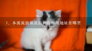 本溪流浪猫流浪狗收容所地址在哪里